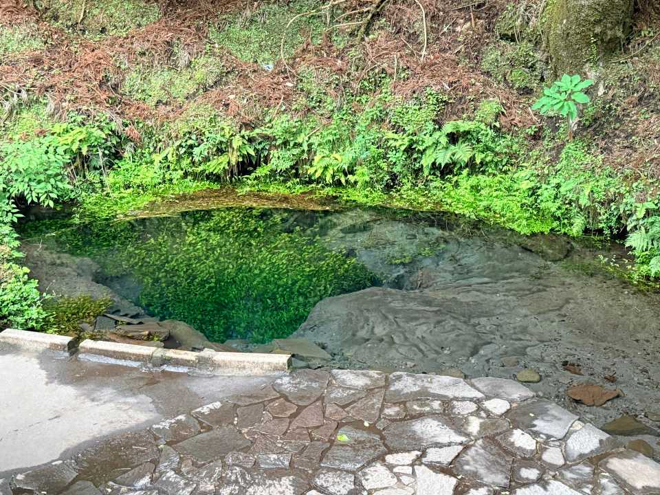 男池湧水地 名水百選 黒岳の伏流水
