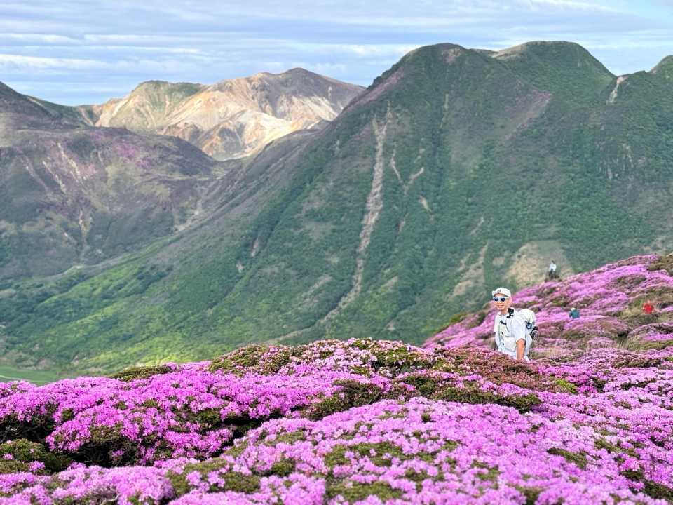 平治岳 山頂先 ミヤマキリシマ群生 わくわくゾーン