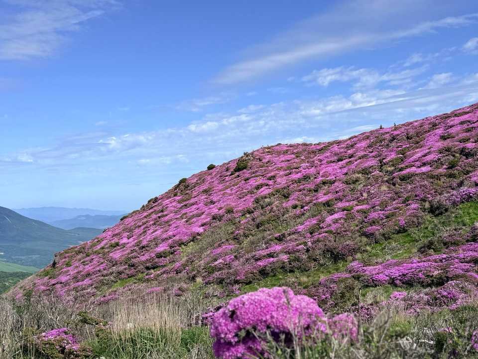 平治岳 山頂 奥の岩 ミヤマキリシマ斜面 登山者