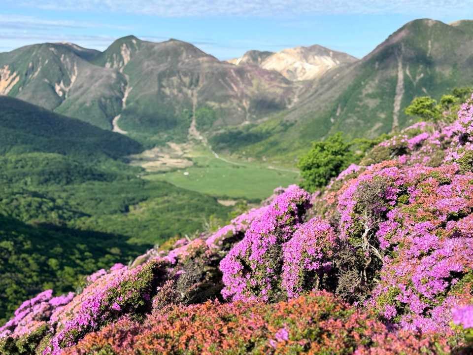 平治岳 ミヤマキリシマ くじゅう連山 山並み