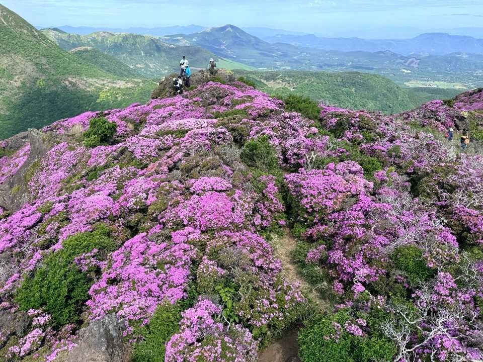 平治岳 偽ピーク 大岩 ミヤマキリシマ