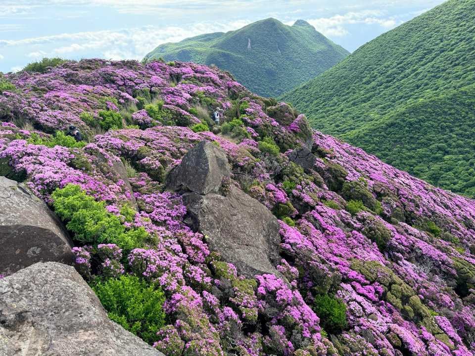 平治岳 偽ピーク 大岩 下山 斜面 坊がつる