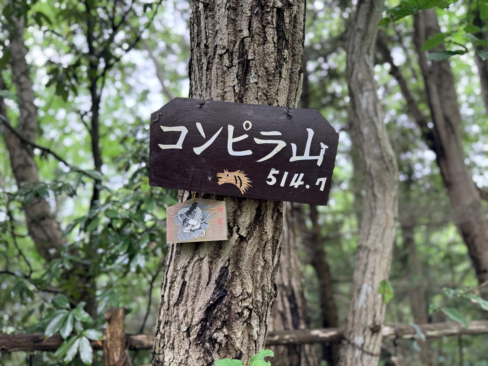南高尾セブンサミッツ やってきました！ 六座目の金比羅山 ここで標高が500mをようやく越えた 基本的