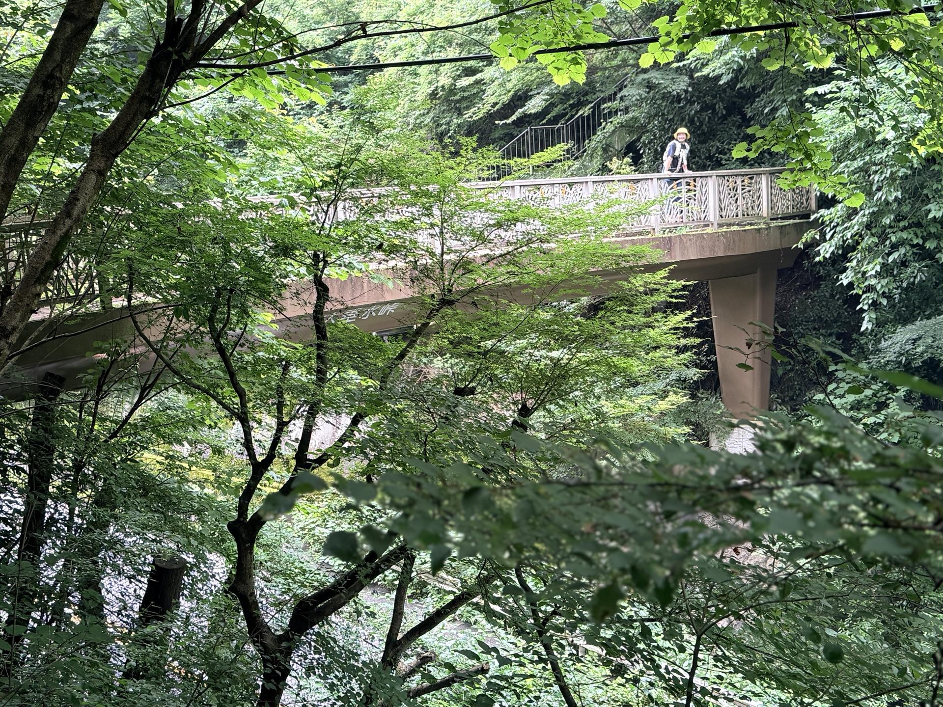 南高尾セブンサミッツ ここで12:30近くになっていたのでランチの営業時間が気になる我々