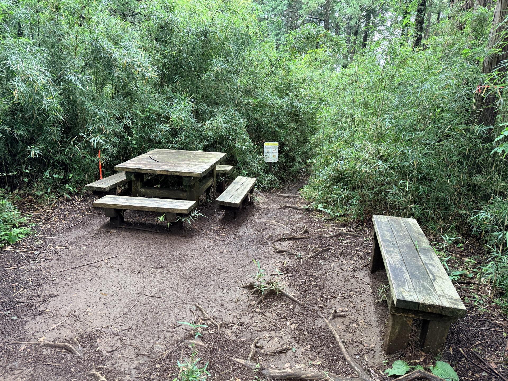 南高尾セブンサミッツ 大洞山の山頂はこんな感じになっているよ ここもベンチとテーブルがある ただし、周