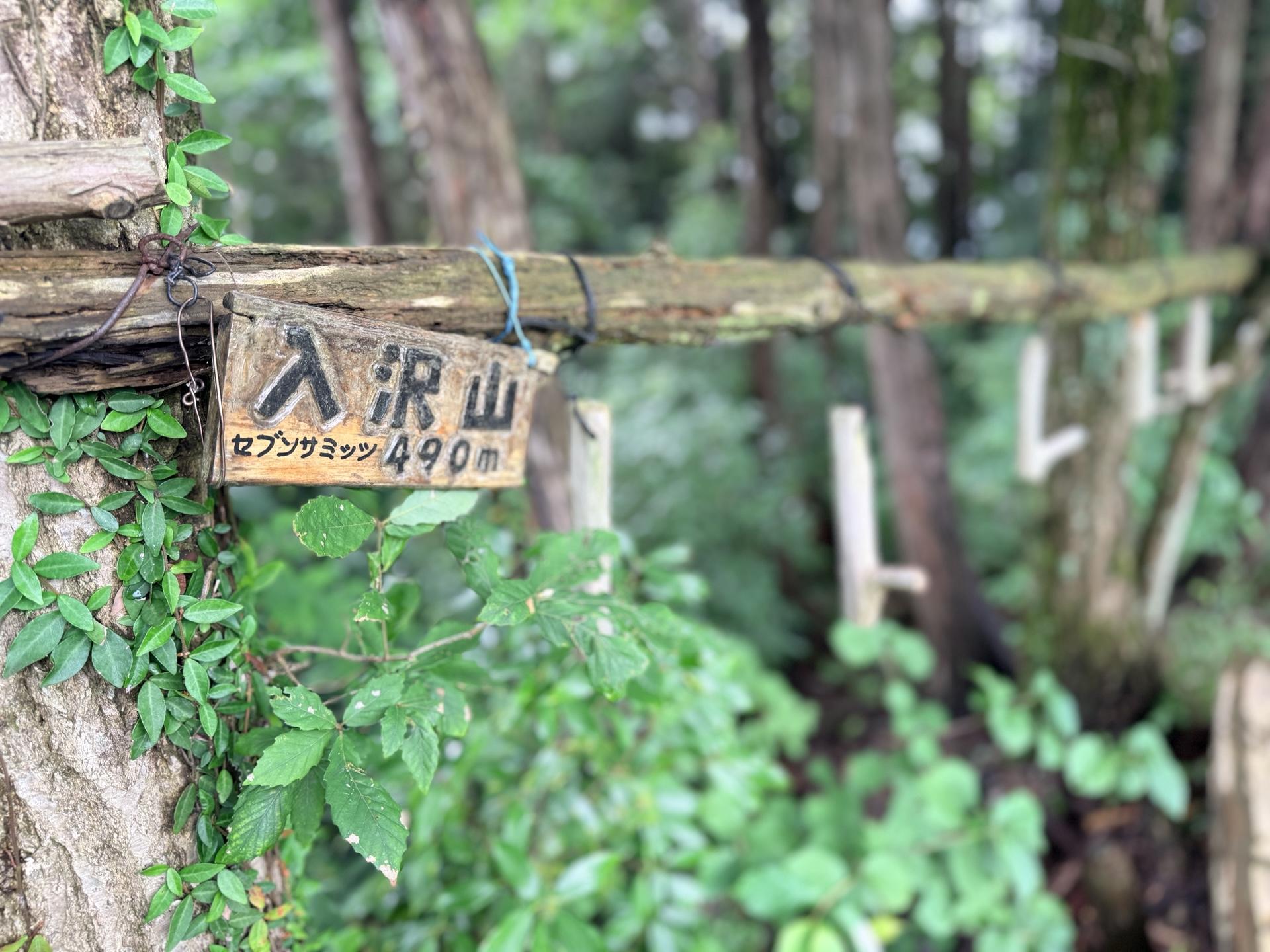 南高尾セブンサミッツ 入沢山の標高は490m 奥にはリュック掛けが設置されている