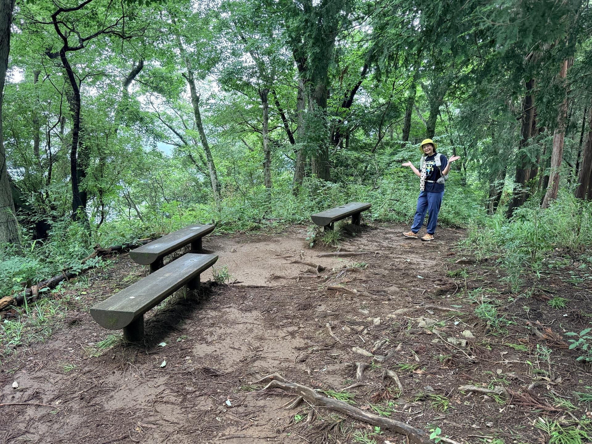 南高尾セブンサミッツ 泰光寺山の山頂はこんな感じ ベンチもあるので休むことができる 風が抜ける場所なの