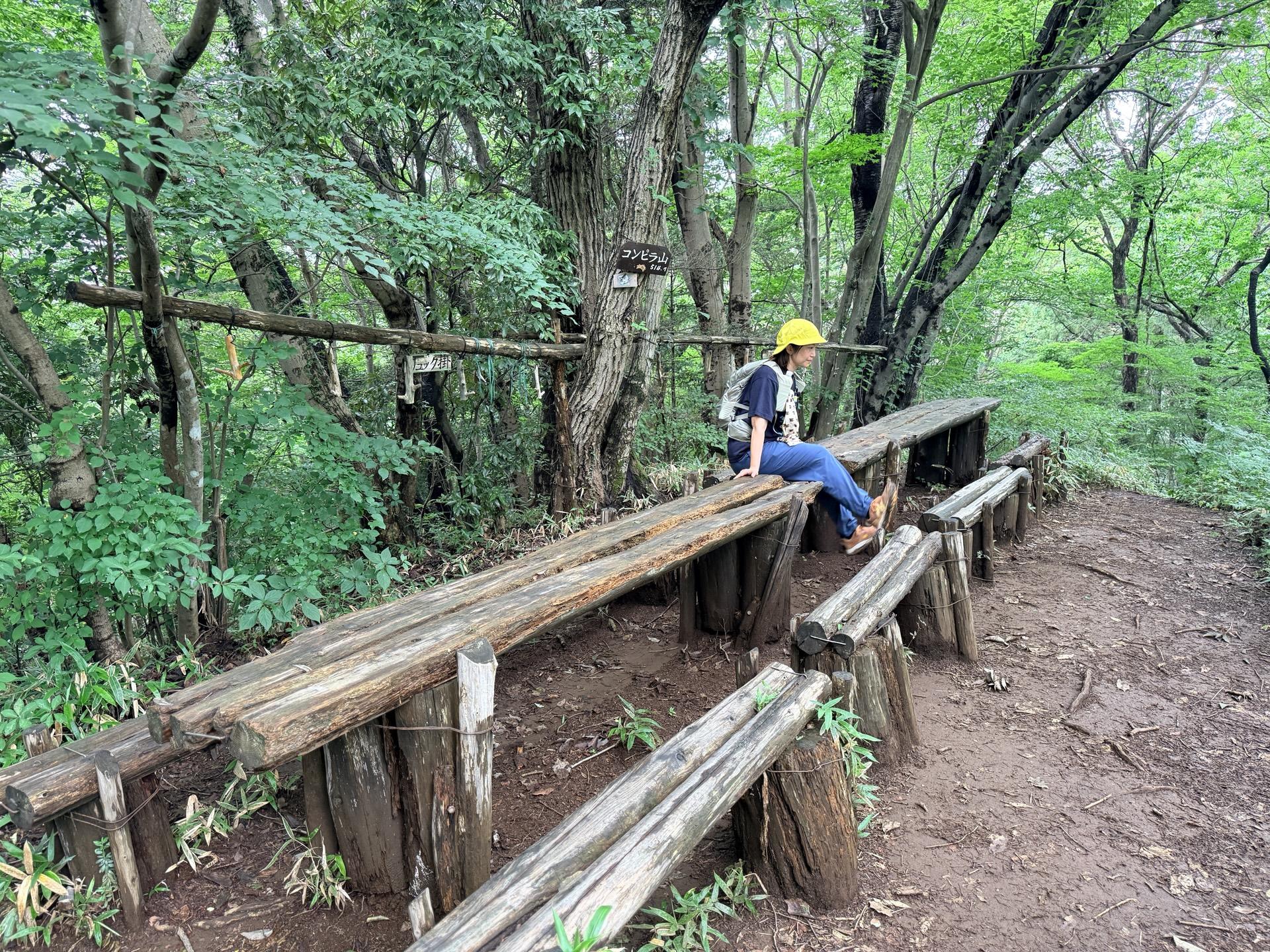 南高尾セブンサミッツ 金比羅山の山頂こんな感じで大きなテーブルとベンチがある 30人くらいで一斉にラン