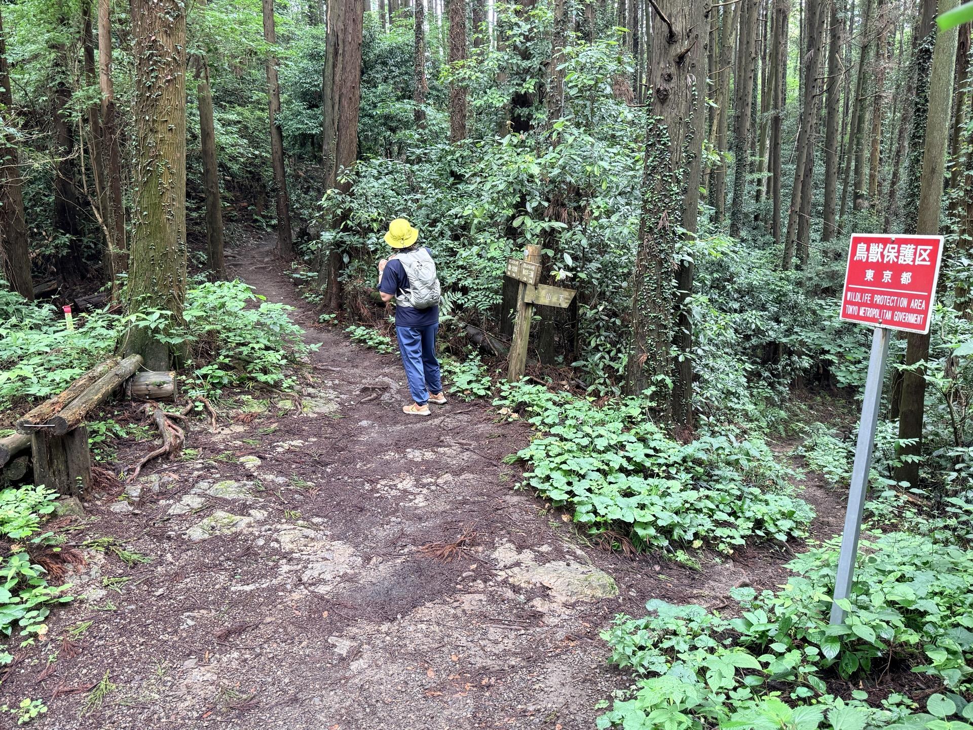南高尾セブンサミッツ 西山峠からも右手に降りて行けばエスケープできる 南高尾はこのように途中でエスケー