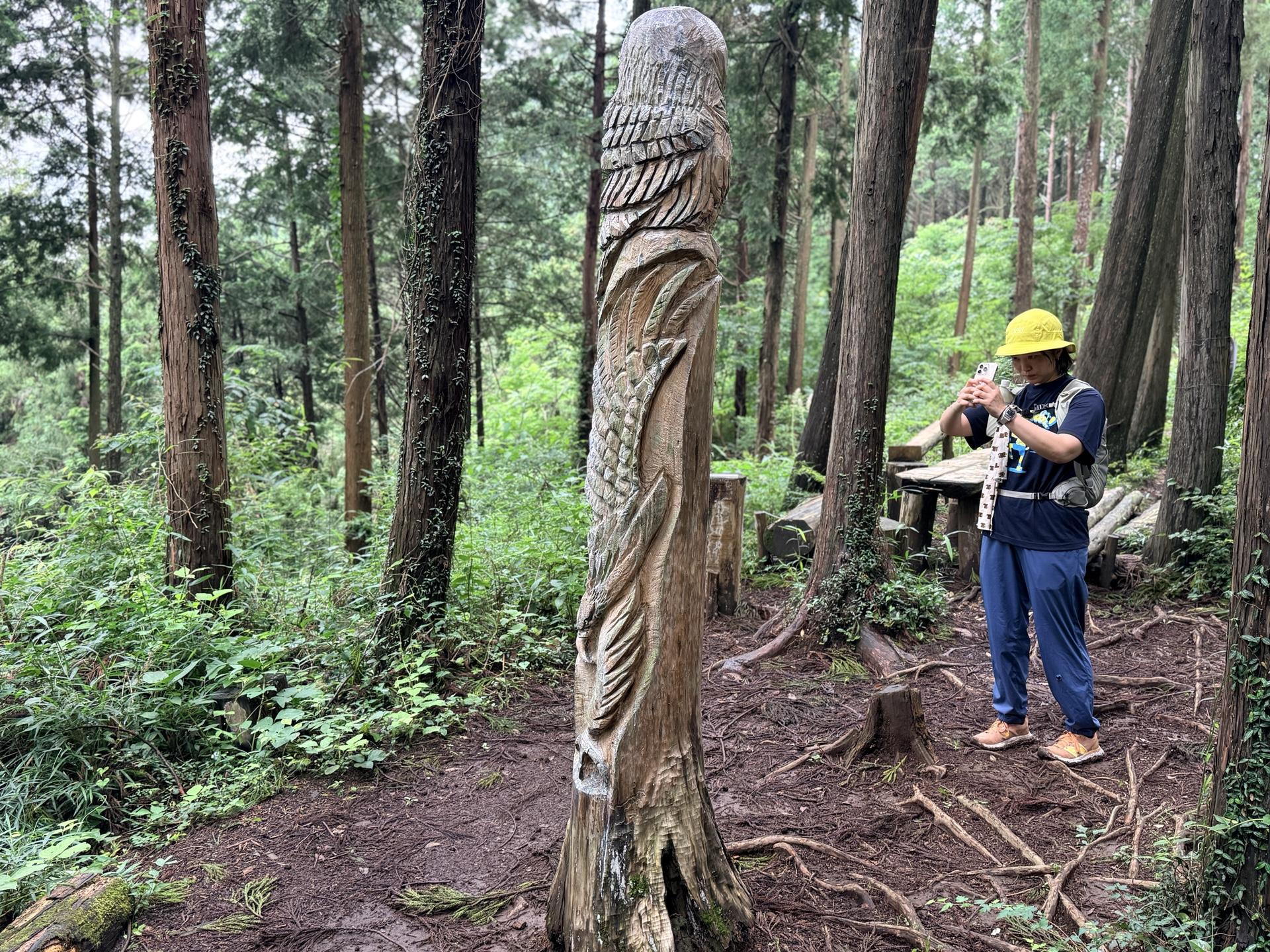 南高尾 裏側には鷲🦅も。南高尾は木彫りアートの宝