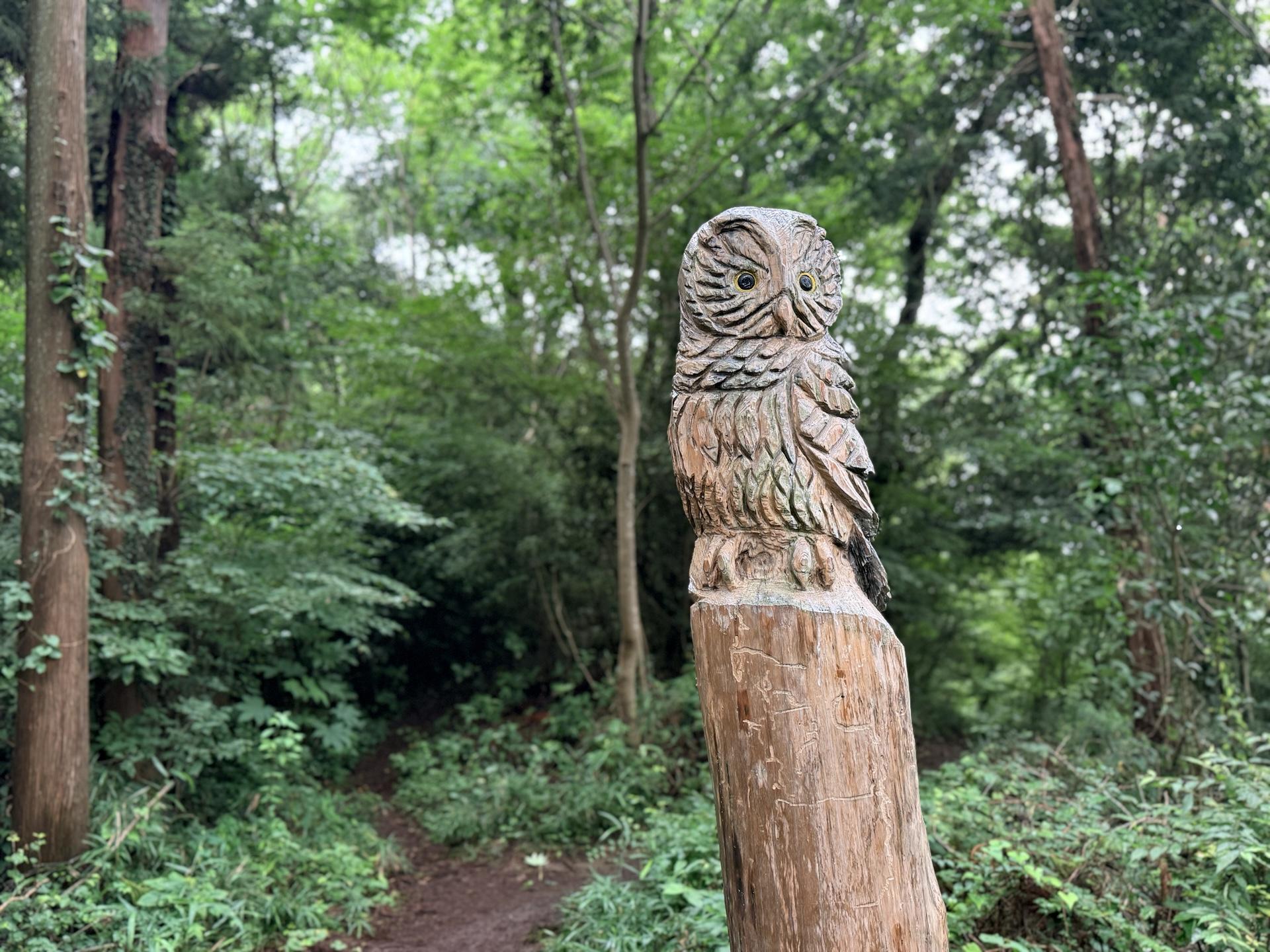 南高尾 木彫りのフクロウを発見🦉 とても上手