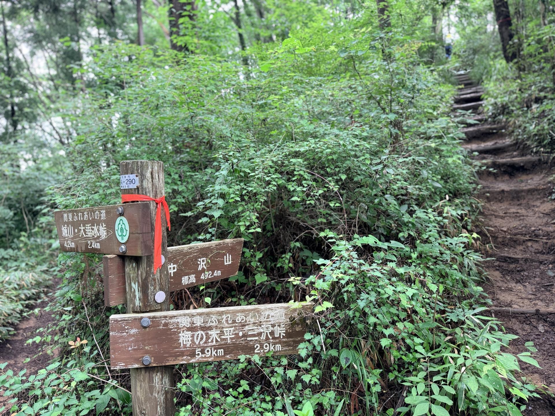 南高尾セブンサミッツ さて、ここを登ると中沢山に出るよ ちょっと見えてるけど、なかなかの階段だね