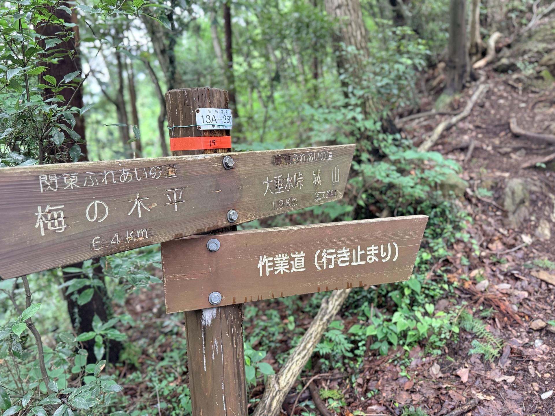 南高尾セブンサミッツ 時々分岐が出てくるけど、作業道のような道もあるので間違って進まないように気を付け