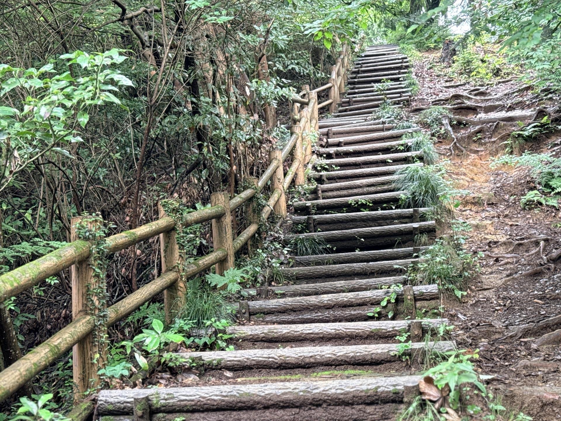 南高尾 おっと…また階段。壁に見えます