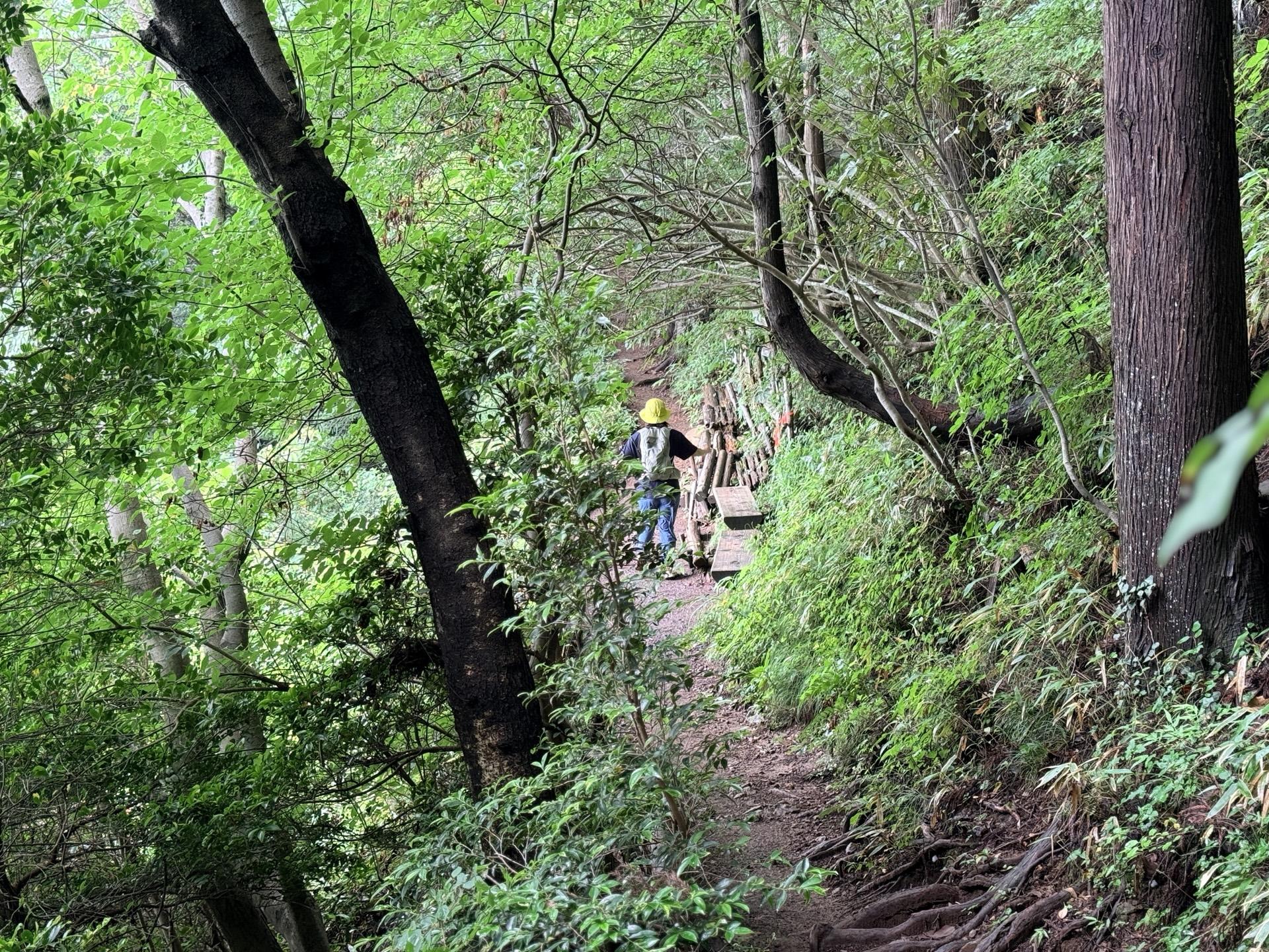 南高尾 入沢山から進むとまたベンチが