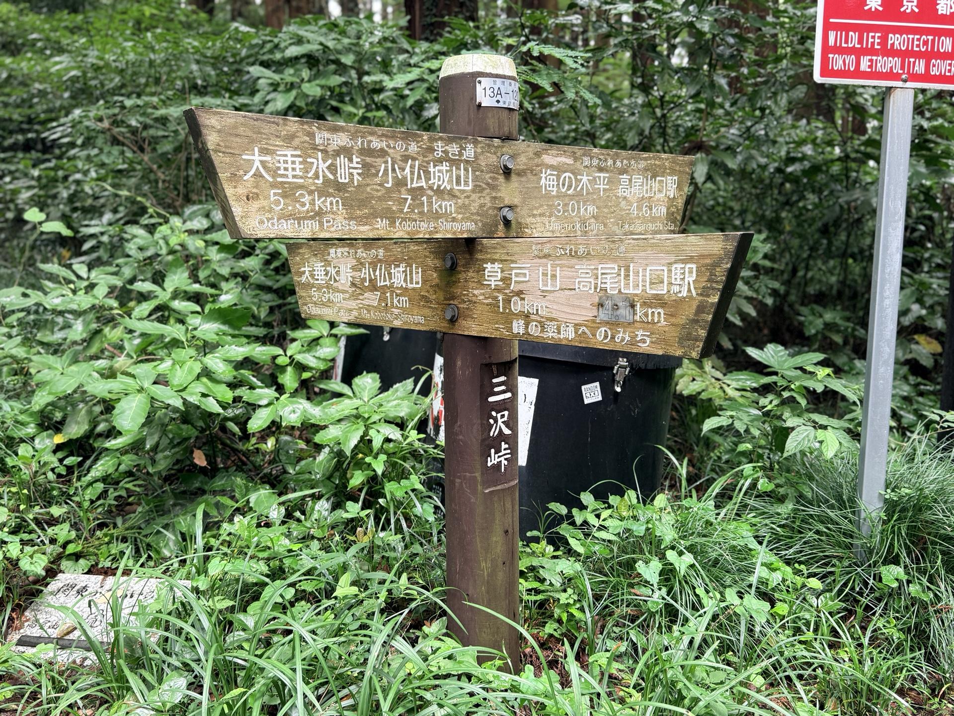 南高尾 三沢峠から梅の木平経由で高尾山口駅まで4