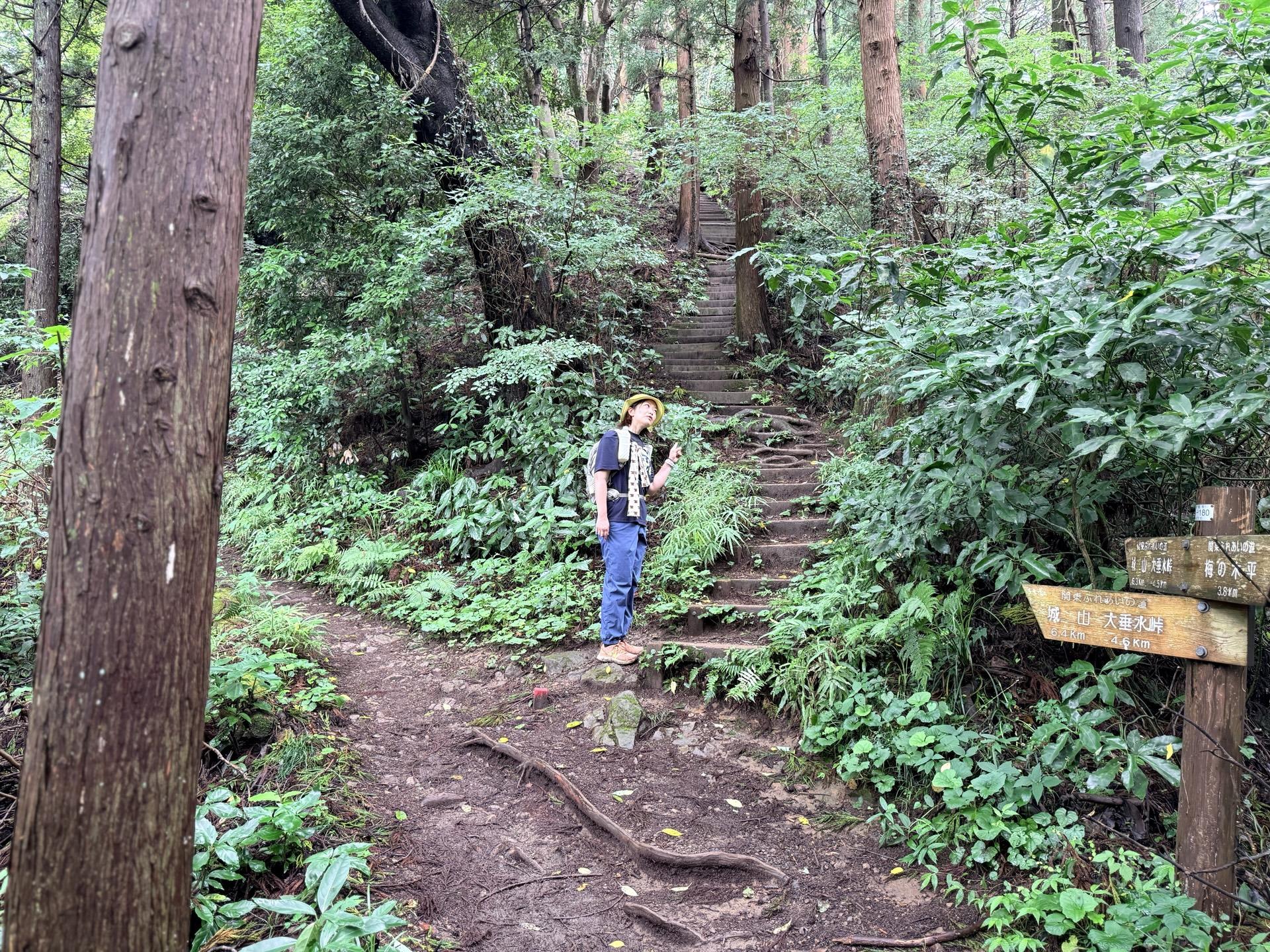 南高尾 泰光寺山への入口。看板に山名表記がなく、