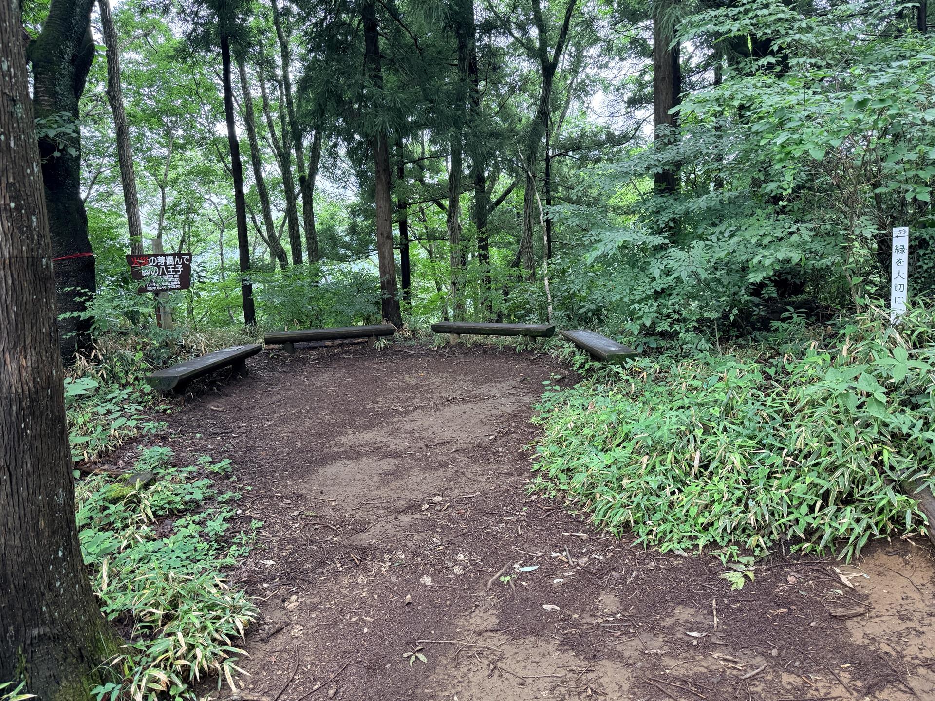 南高尾セブンサミッツ またまたベンチが出てきた 南高尾はわりとたくさん休憩できる場所がある とはいえ、