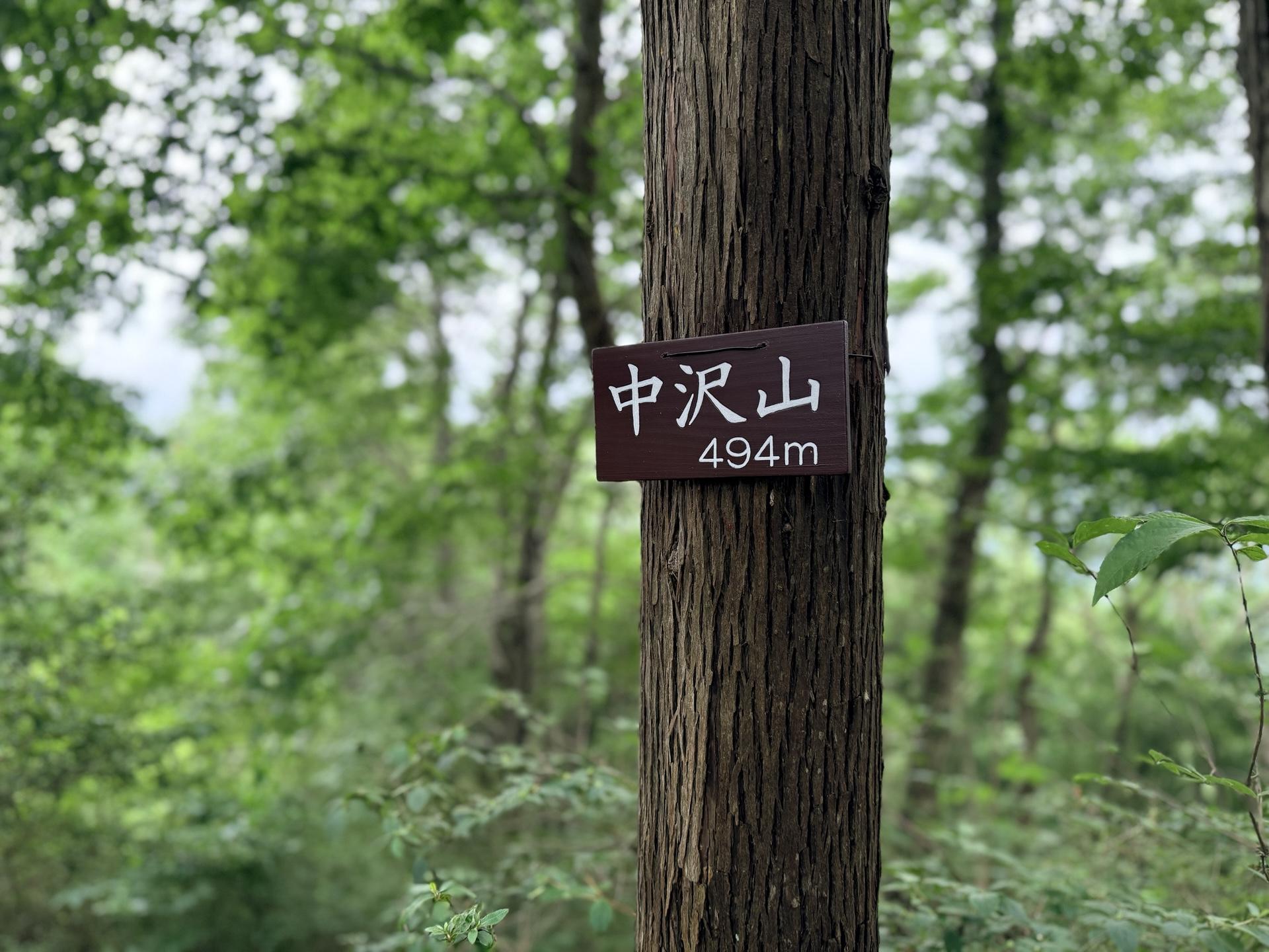 南高尾 五座目・中沢山の標識