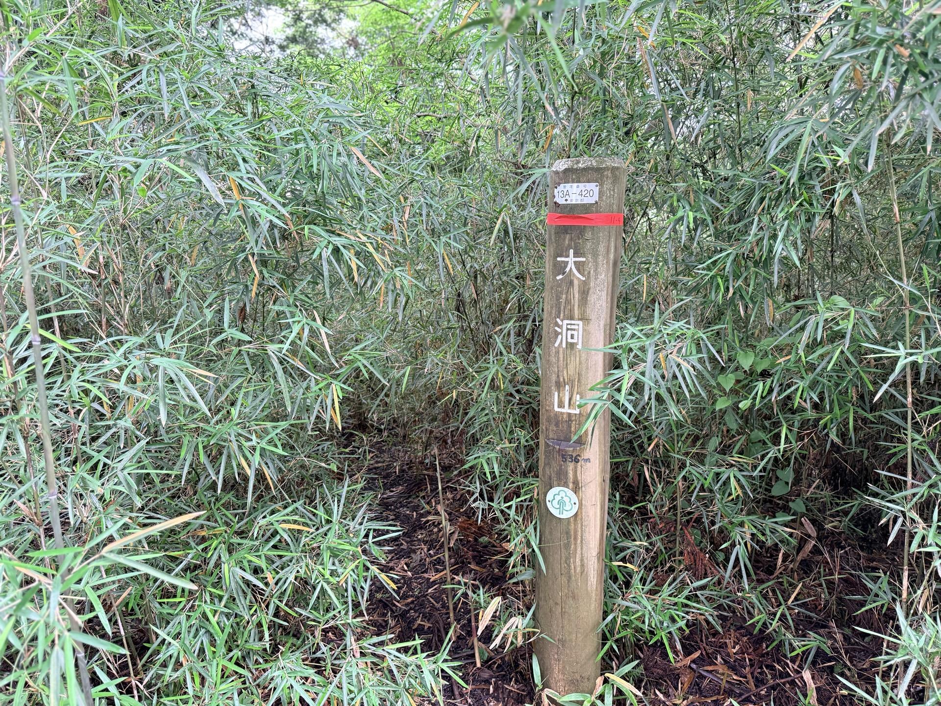 南高尾セブンサミッツ はい！セブンサミッツ最後の一座 大洞山（おおぼらやま） 洞←これで「ぼら」って読