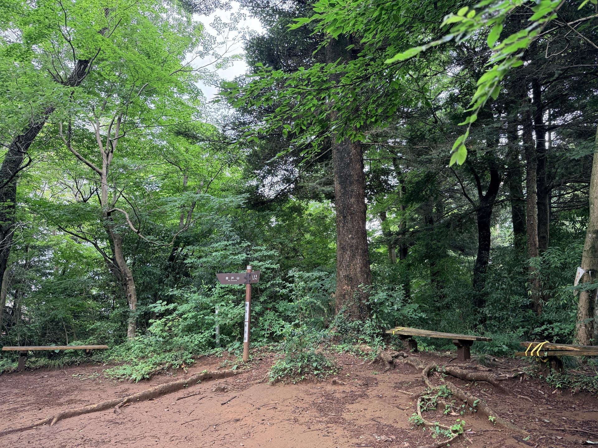 南高尾セブンサミッツ 榎窪山の山頂にはベンチもあるが黄色のテープ🟡が貼られているので、朽ちていて使用で