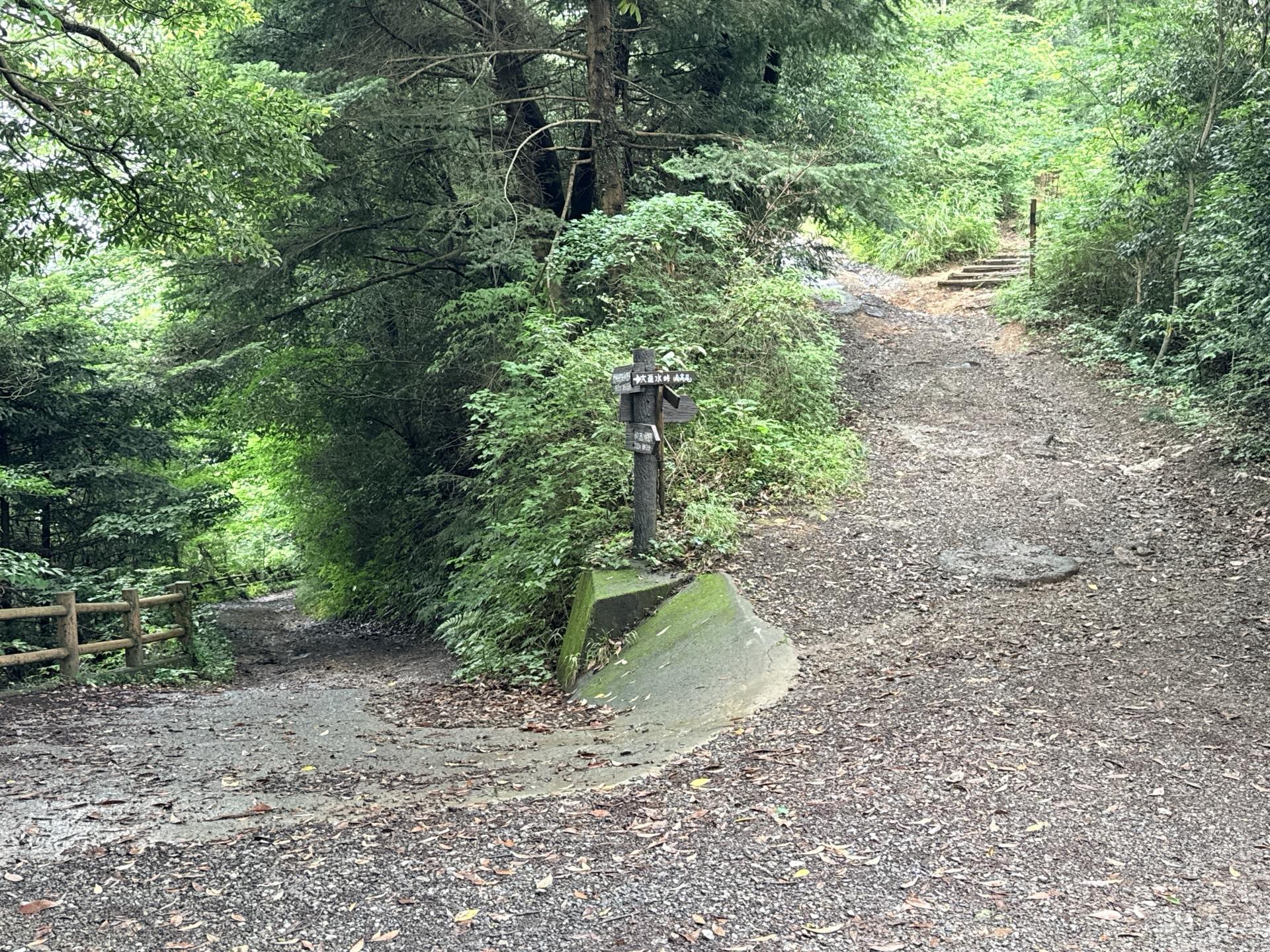 南高尾セブンサミッツ 分岐にやってきた 左に降りていくと城山湖方面 右に登っていくとすぐに榎窪山に到着