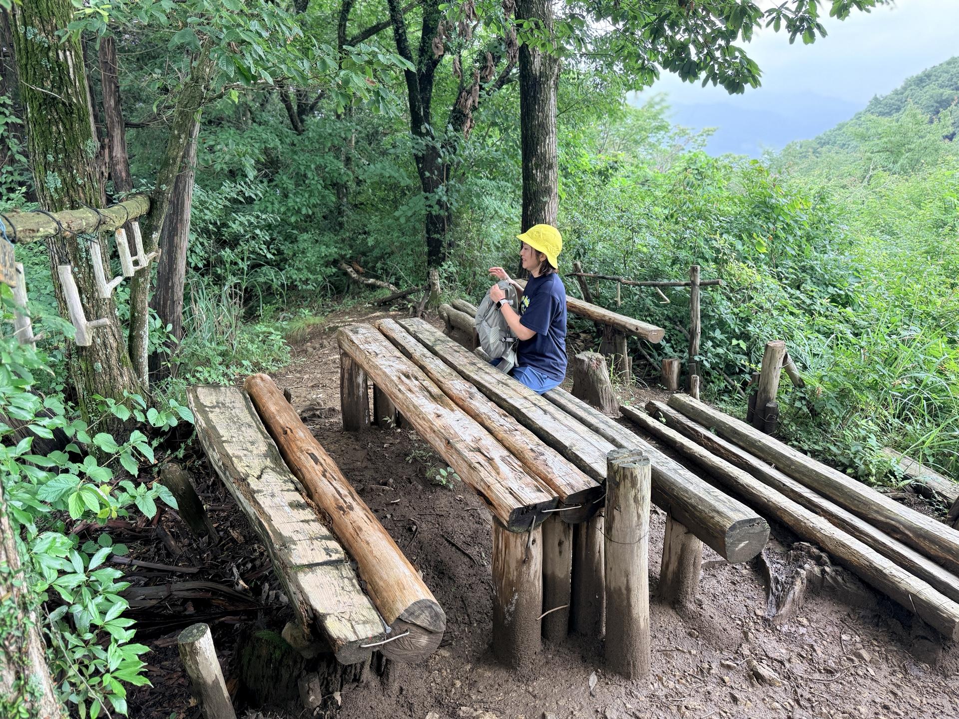南高尾セブンサミッツ 入沢山の山頂はご覧の通り 大きなテーブルと木のベンチがある 確かに天空レストラン