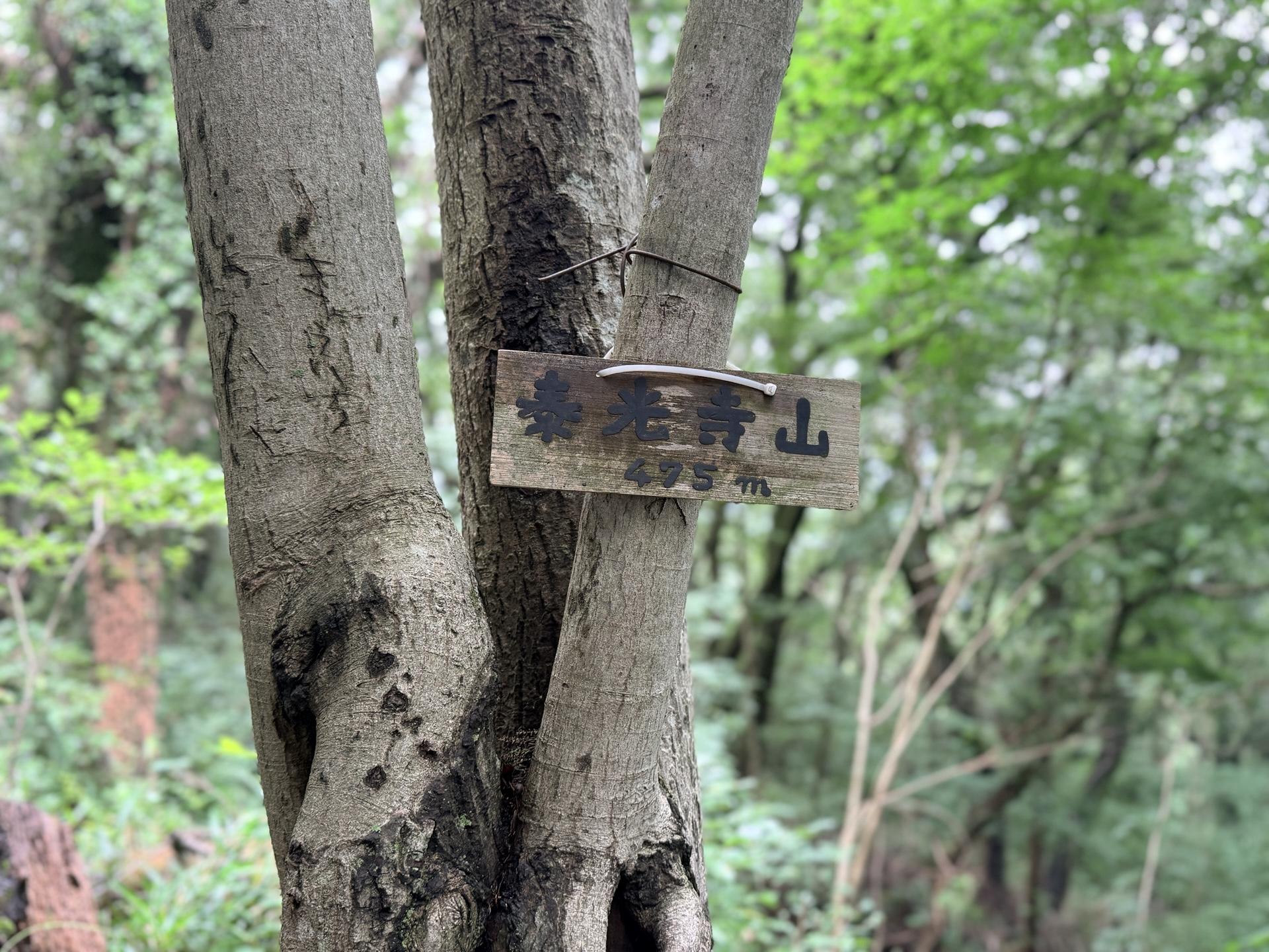 南高尾セブンサミッツ さて、ここが三座目の泰光寺山の山頂だよ 一応、このように山頂標識もある