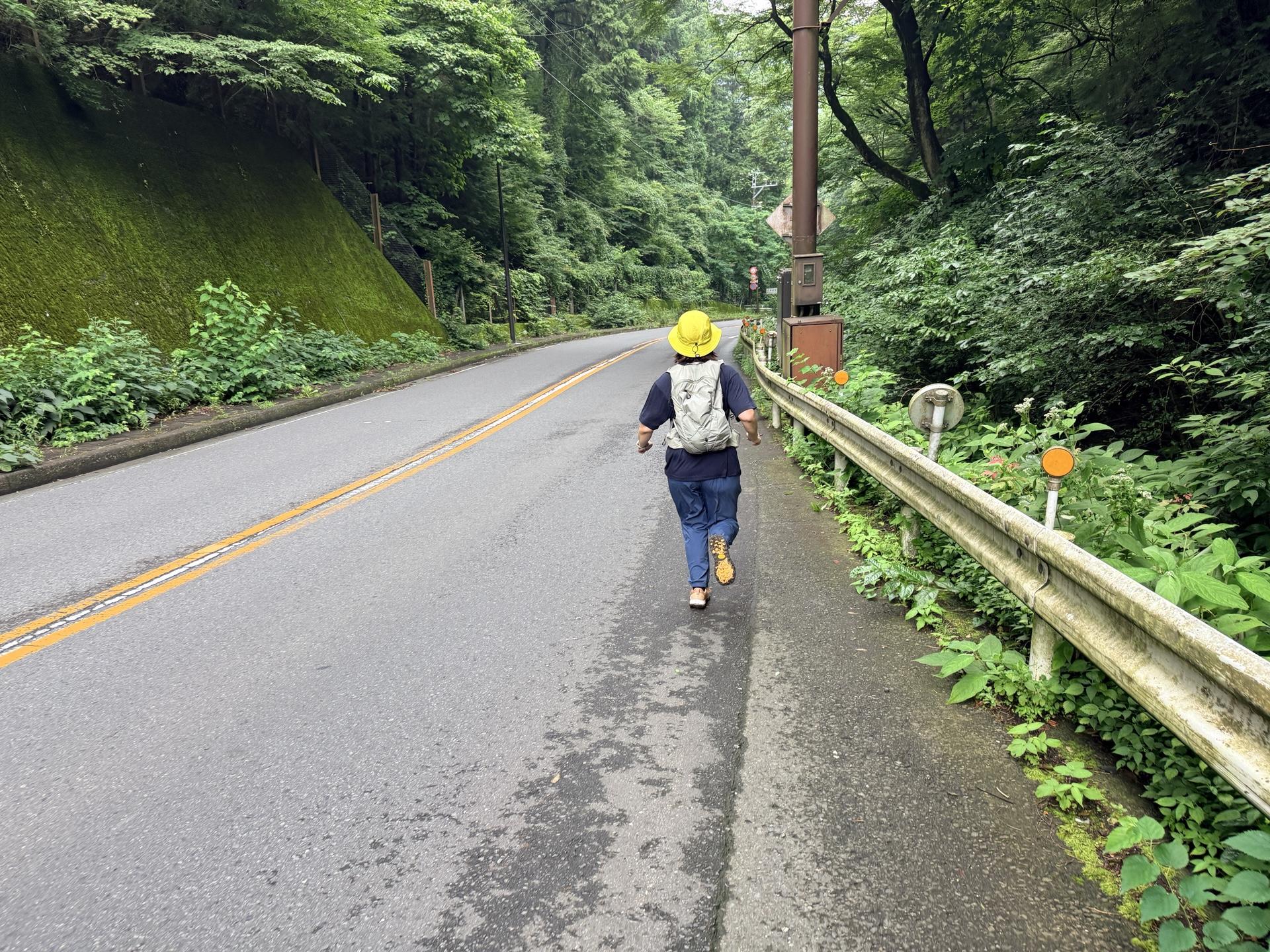 南高尾セブンサミッツ まさかの大垂水峠バス停は2026年3月末で路線廃止に🚌🙅‍♂️ ってことで、最後