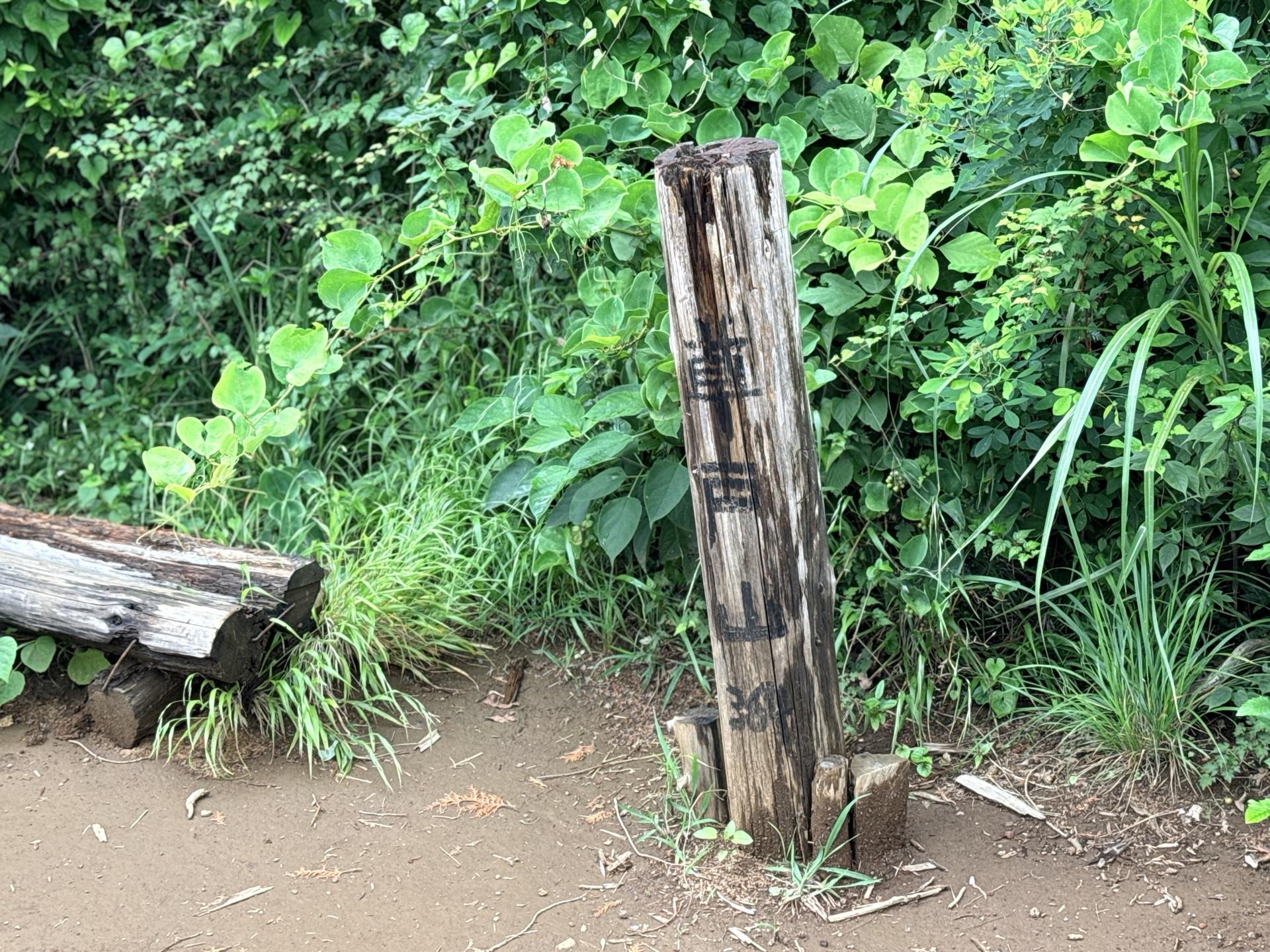 南高尾セブンサミッツ セブンサミッツの一座目 草戸山に到着 休日はたくさんの登山者で賑わう草戸山も本日