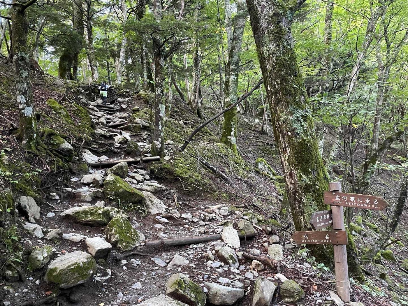 北岳 広河原 広河原と北岳を示す道標