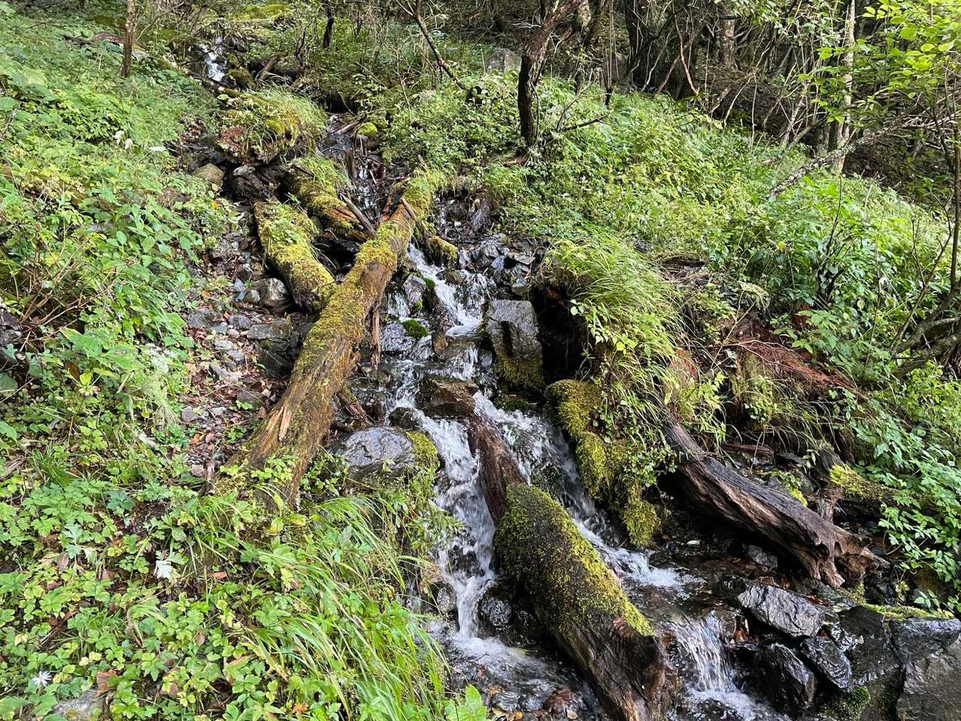 北岳 広河原 野呂川沿いの沢の流れ