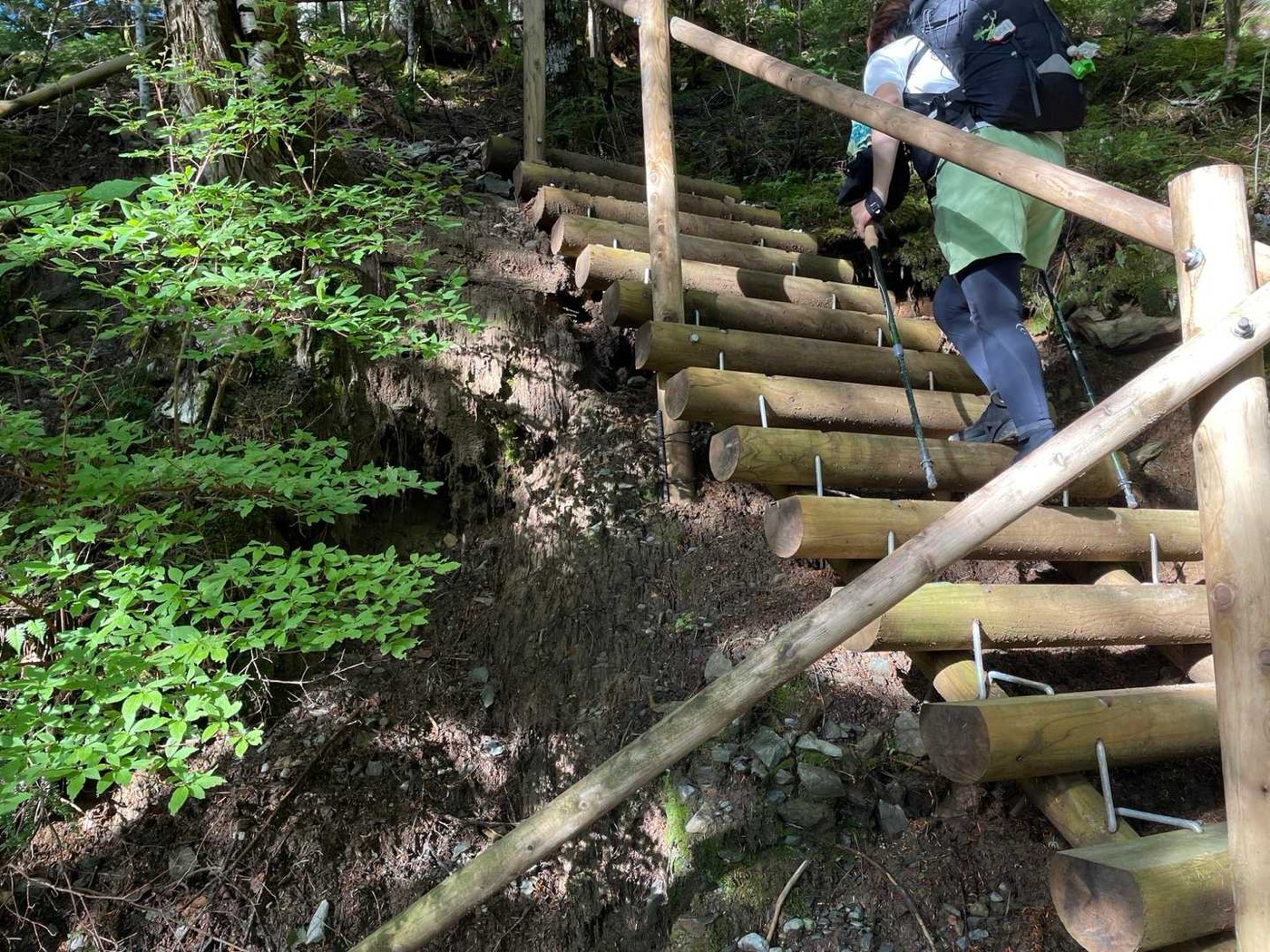 北岳 白根御池 樹林帯をひたすら登って高度を上げていきます