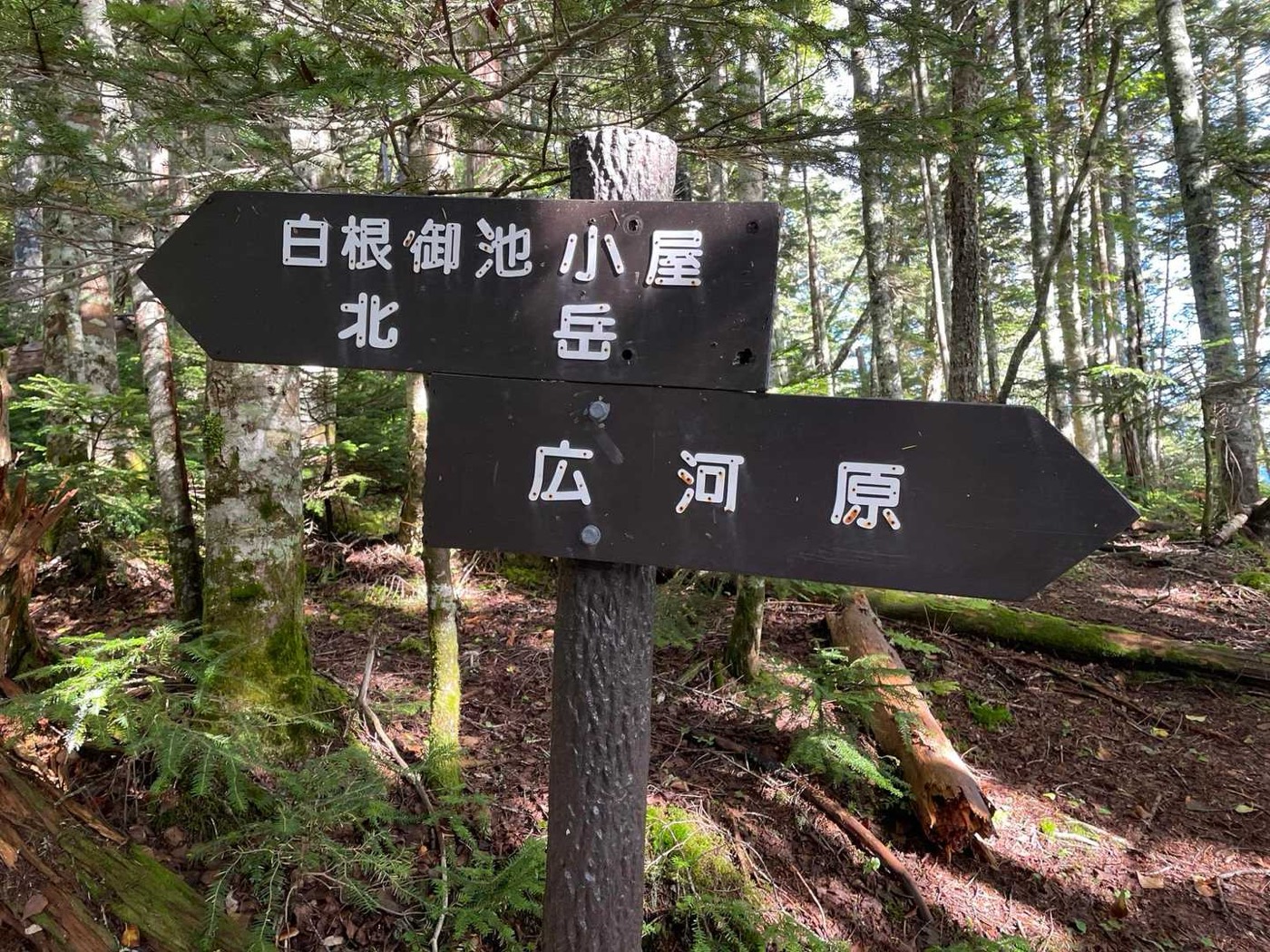 北岳 白根御池 このあたりまで来れば白根御池小屋はもうすぐ