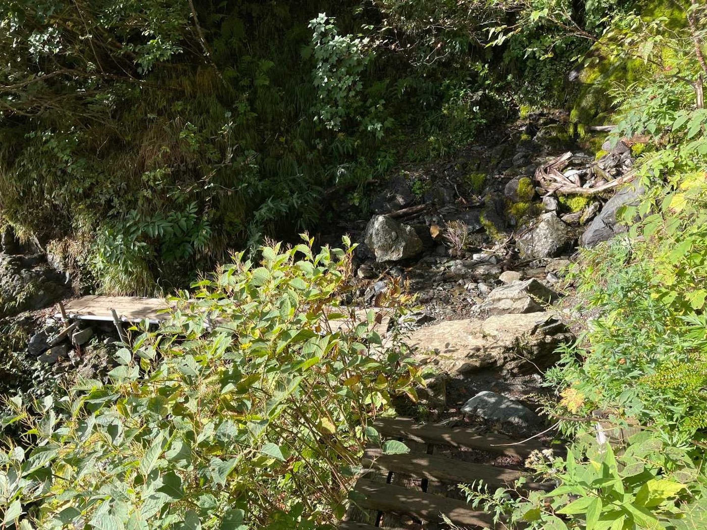 北岳 白根御池 沢の水がひんやりと冷たい