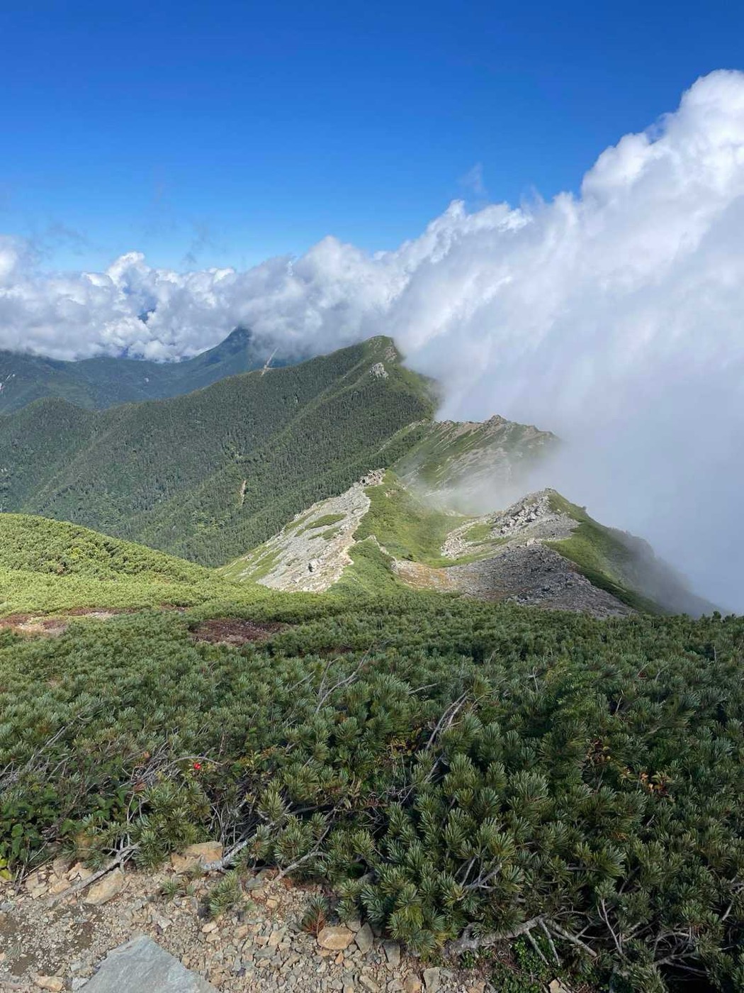 北岳 小太郎尾根 奥に見えるのが小太郎山。きれいな稜線で、いつか歩いてみたい