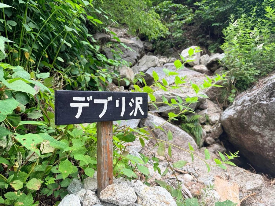 デブリ沢。雪崩や崩落の跡