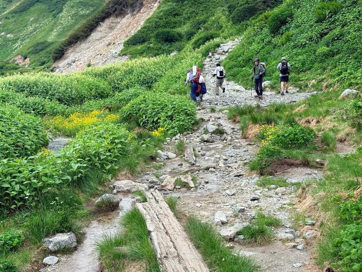 立山 雷鳥坂 沢沿いに進むと大日岳方面との分岐 2026年7月25日09:55