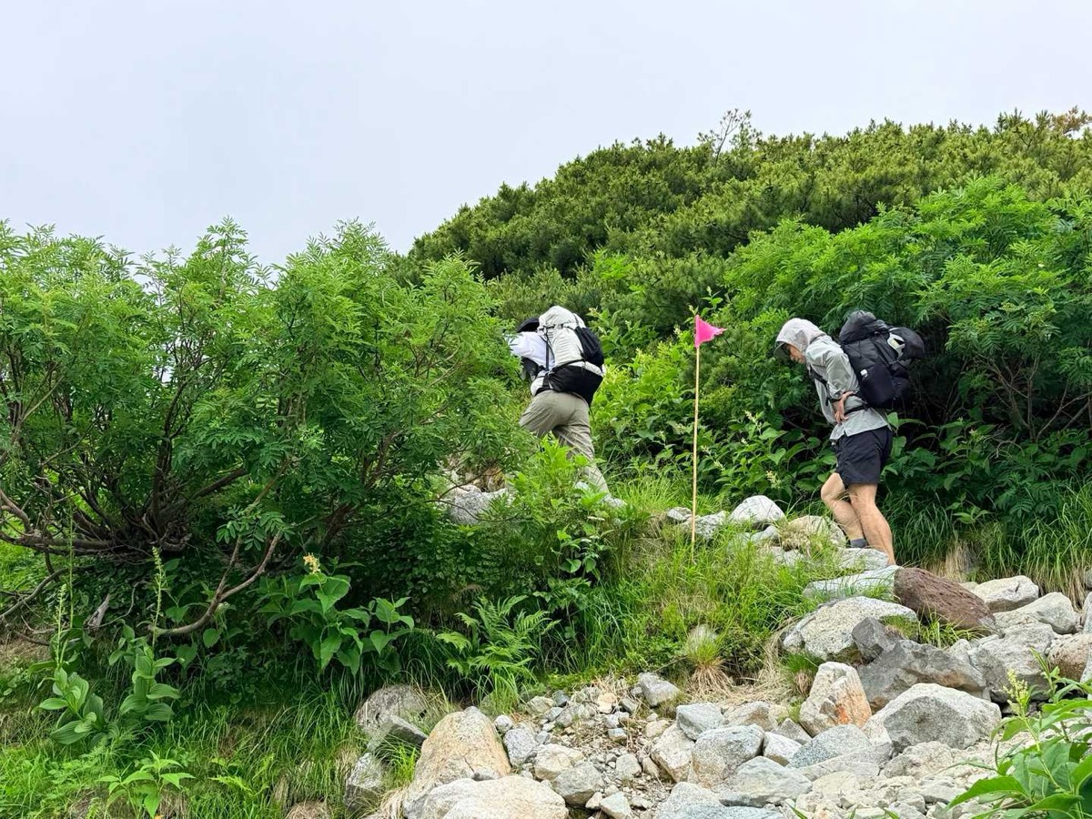 立山 雷鳥坂 登り出しから、いきなり傾斜があります 2026年7月25日09:57