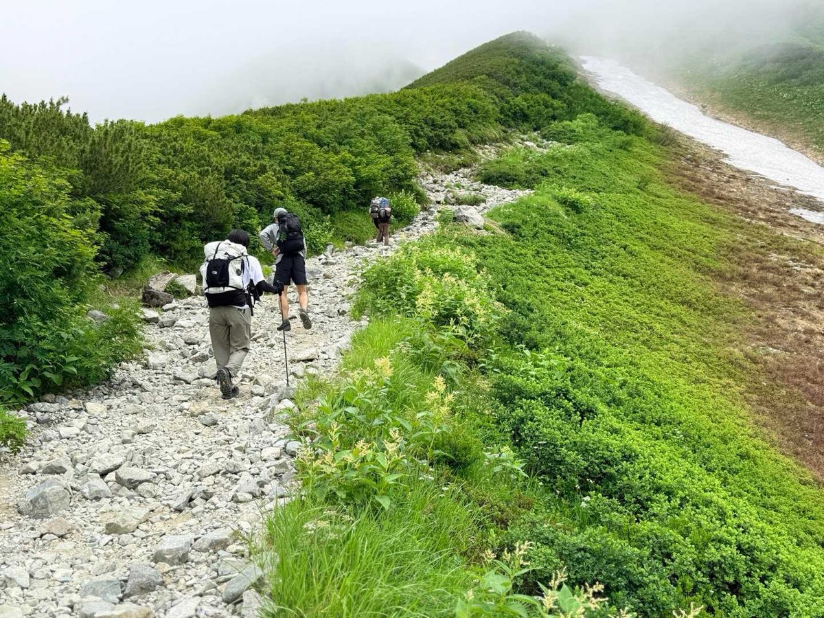 立山 雷鳥坂 斜面に残る雪渓。風がひんやり 2026年7月25日10:17