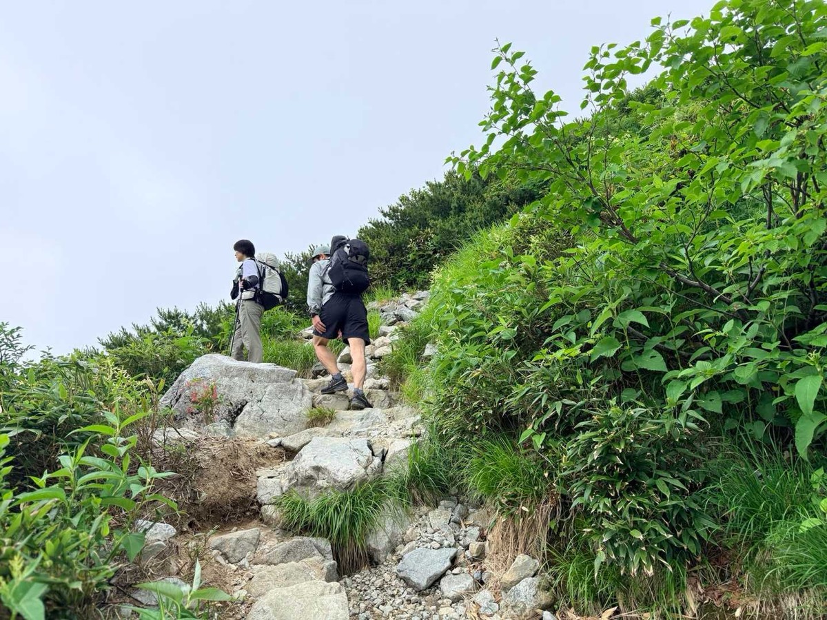 立山 雷鳥坂 この先でガスの中へ 2026年7月25日10:33