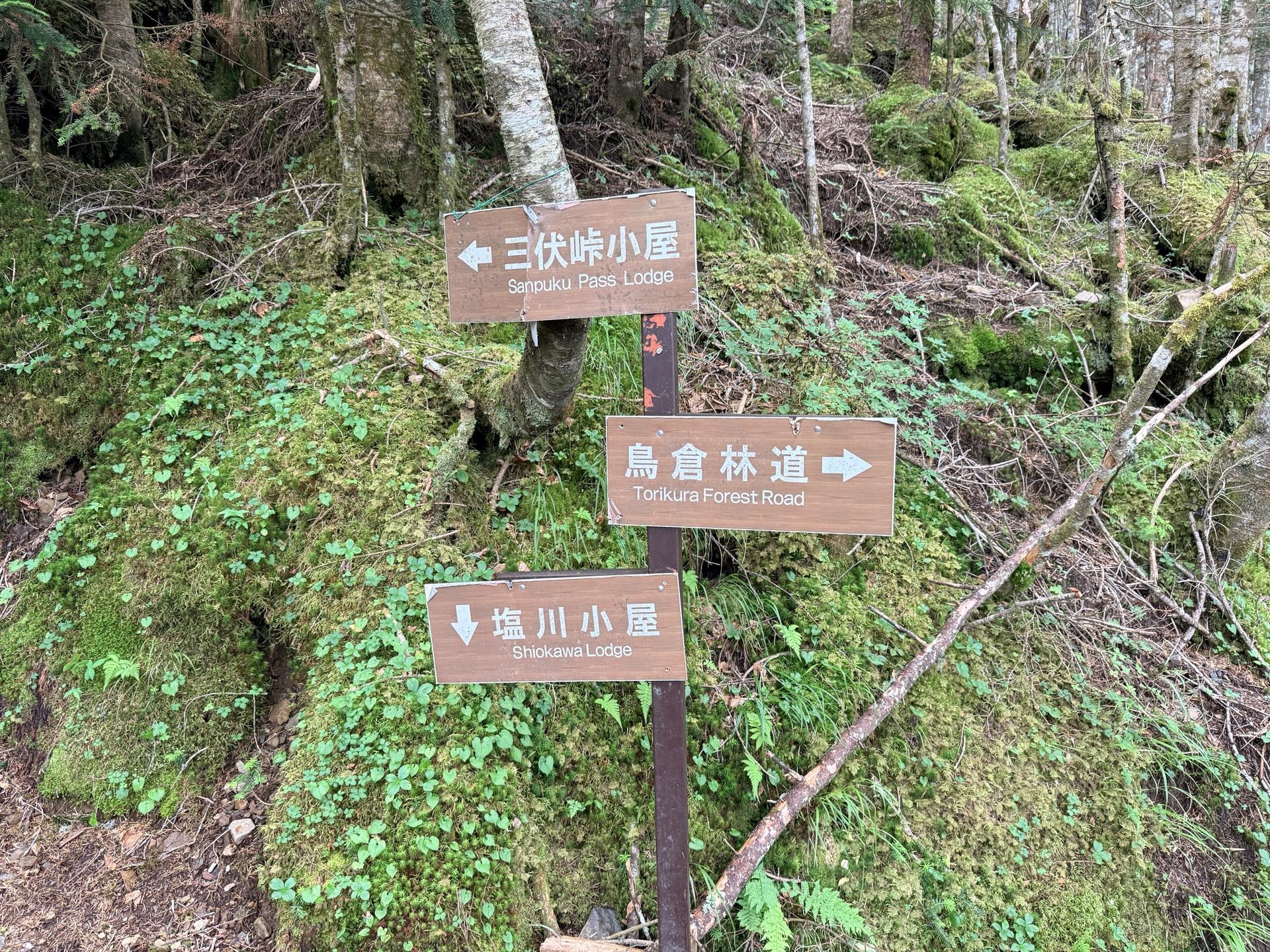 三叉路になっているんですが、塩川小屋方面の登山道は現在閉鎖されている