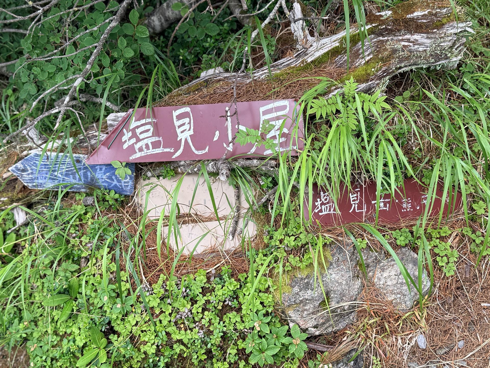 塩見小屋と書かれた分岐を左に曲がればすぐに小屋に到着するよ
