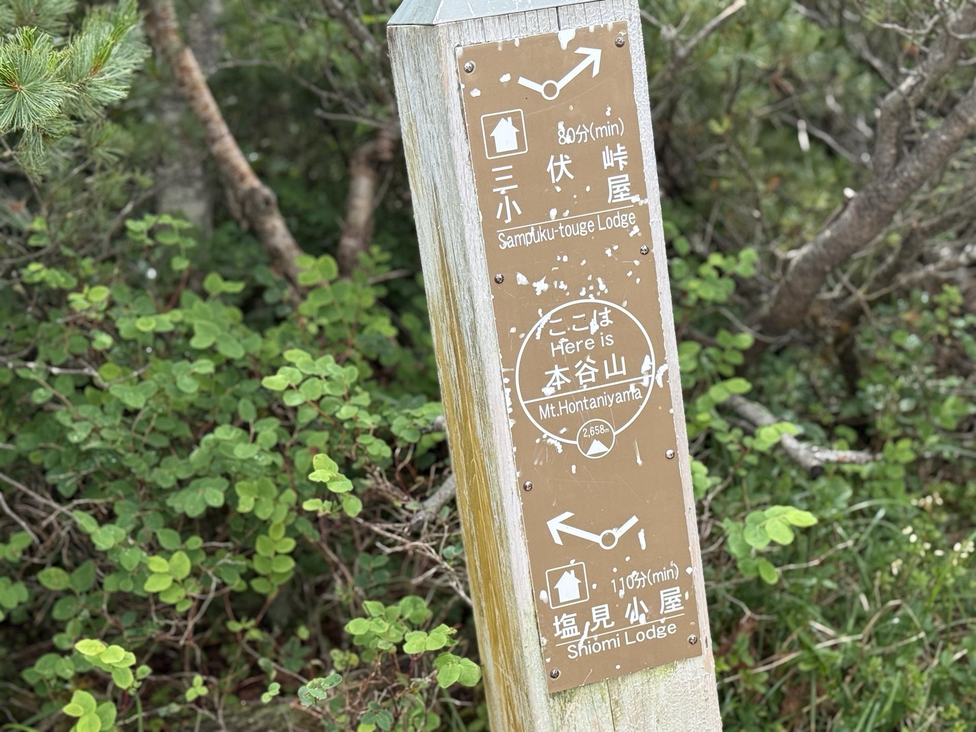 本谷山に到着