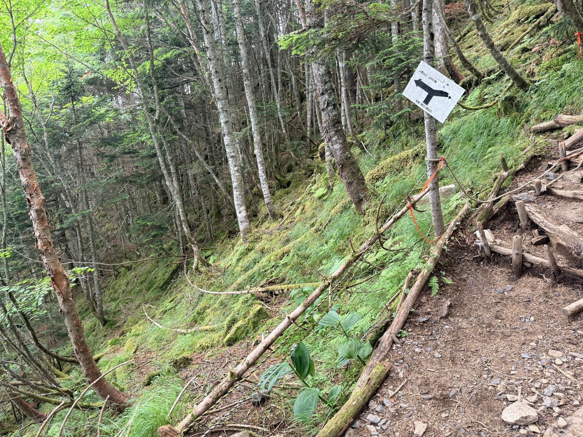 このように塩川小屋方面はロープが張られており通行止めとなっている
