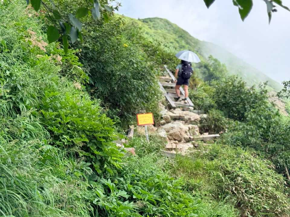 少し狭くなる登山道