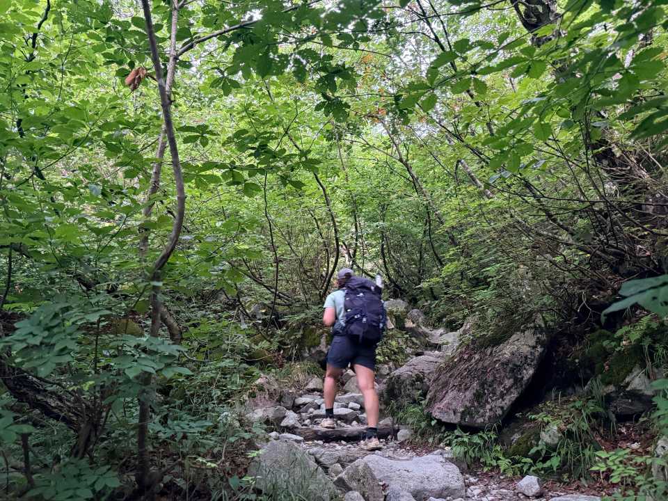 樹林帯を標高を上げていく
