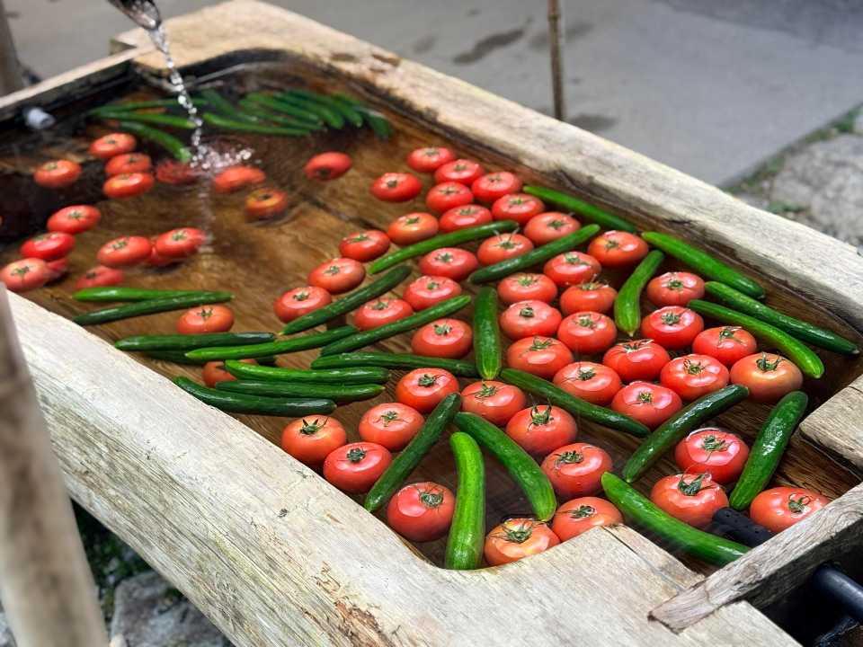 ぷかぷか浮く夏の野菜たち
