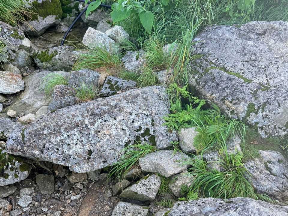 この岩には「あと5分」