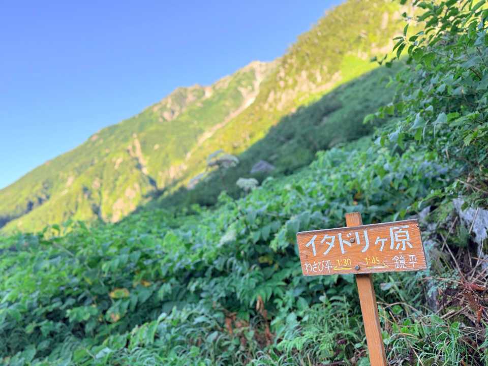 イタドリヶ原に到着